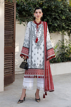 AF-EL-7056-Kelly