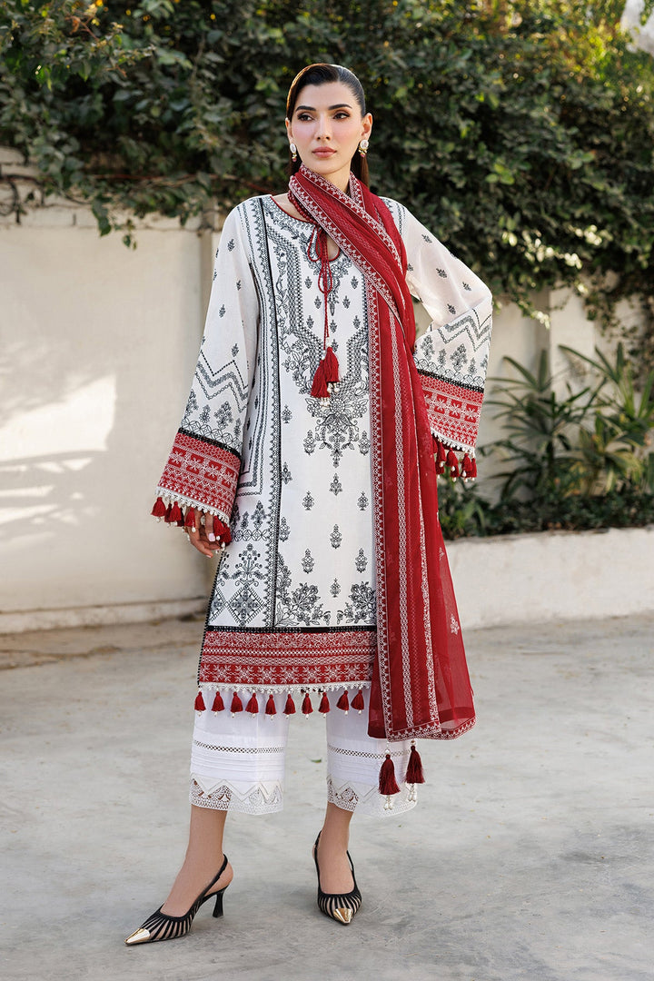 AF-EL-7056-Kelly