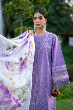AF-EL-7067-Daria