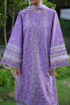 AF-EL-7067-Daria