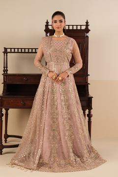 AF-NT-2256-Roshni