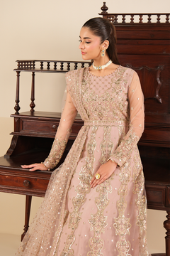 AF-NT-2256-Roshni
