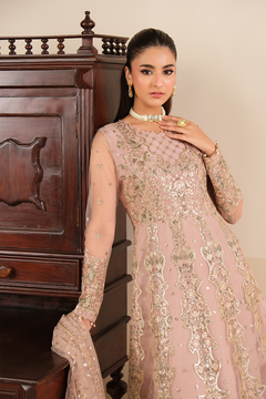 AF-NT-2256-Roshni