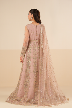 AF-NT-2256-Roshni