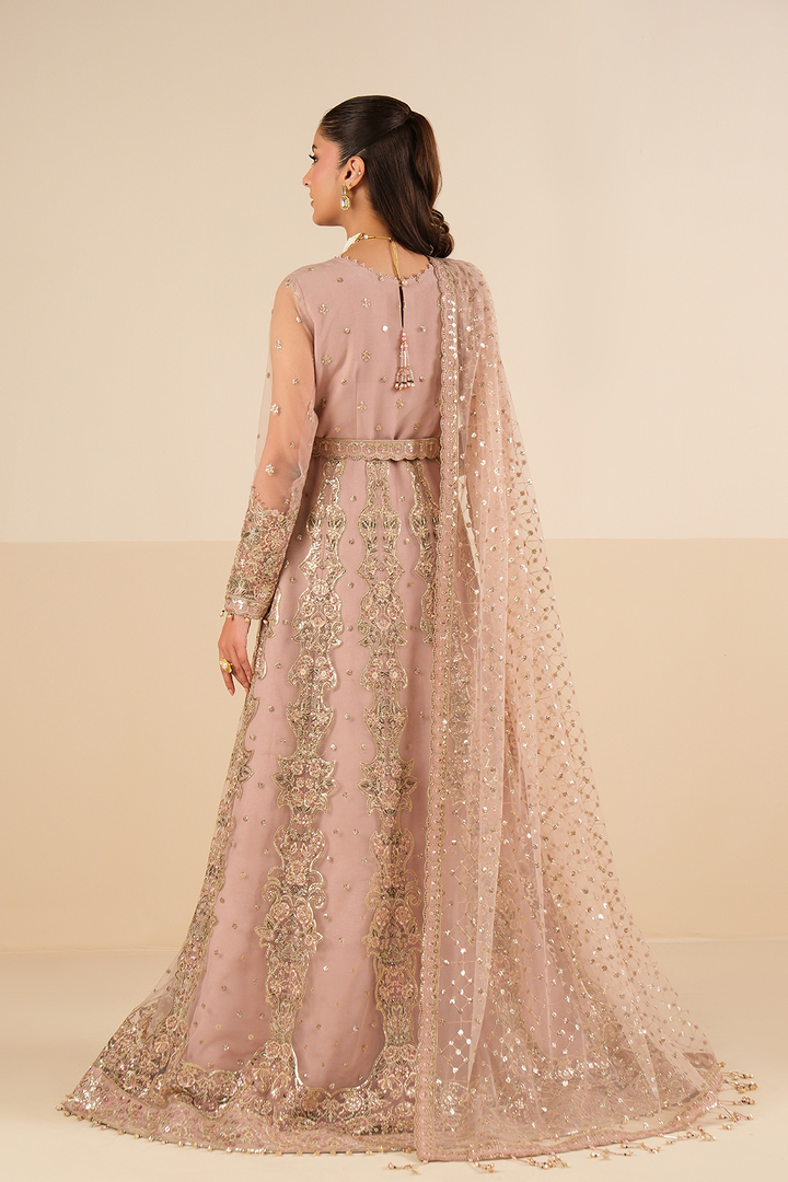 AF-NT-2256-Roshni