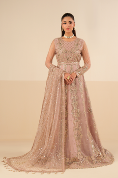 AF-NT-2256-Roshni